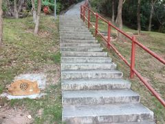 -大亚湾红树林城市湿地公园
