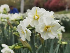 -陕西省西安植物园