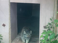 -青藏高原野生动物园
