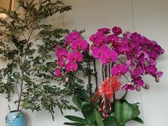 -莱蔻·圣灸堂·推拿艾灸(天山店)