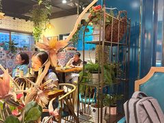 -柴窝堡22号传承新疆菜·新疆辣子鸡