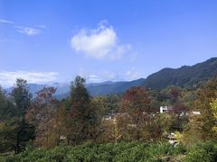 -塔川景区