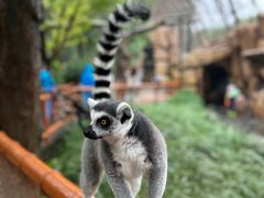 -北京野生动物园