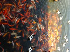 -泉州海丝野生动物世界