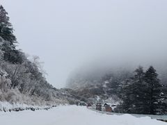 -神农架景区