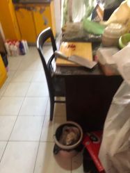 -刘娟美甲沙龙