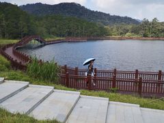 -海南热带雨林国家公园吊罗山景区