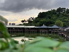 -观澜山水田园