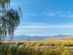 -野鸭湖国家湿地公园