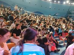 -烟台海昌鲸鲨海洋公园