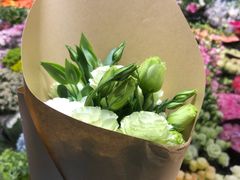 -双季花艺园艺市场(浦东店)