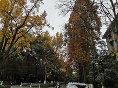 -浙江大学(玉泉校区)