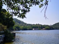 景观位-悦湖公馆