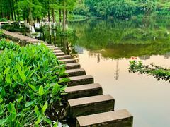 -重庆彩云湖湿地公园