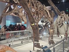 -国家自然博物馆