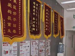 -中农国际动物医院24小时·猫科·骨科·急重症中心