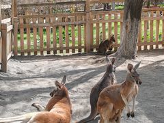 -水上乐园·欢乐世界