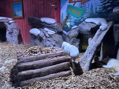 -上海海昌海洋公园-冰山北极馆