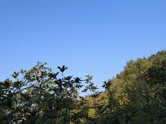 -故乡缘·香格里拉山庄(冷竹路店)