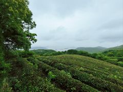 -宁波海天一洲景区