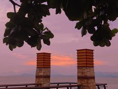 -深圳湾公园(南山区)