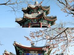 -颐和园
