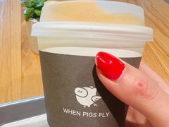 -WHEN PIGS FLY当猪飞