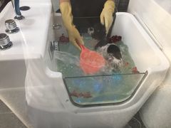 -1013 PET SHOP 宠物商店(近铁城市广场店)