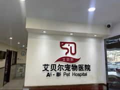 -艾贝尔宠物医院·24H转诊中心·肿瘤猫专科(江宁双龙店)