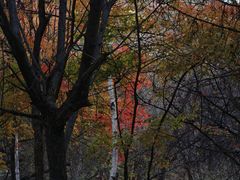 -吉林市朱雀山国家森林公园