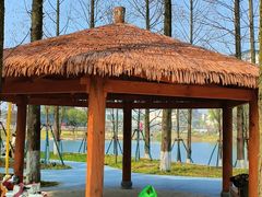 -宁波儿童公园(鄞州区)