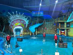 -烟台海昌鲸鲨海洋公园
