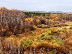 -塞罕坝国家级自然保护区
