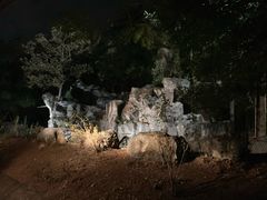 -清迈夜间动物园