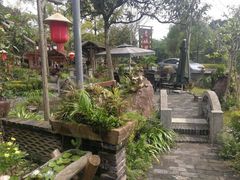 -青城甲(青城山店)