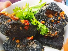 -黑色经典臭豆腐·湖南特产(坡子街店)