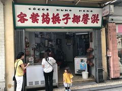 -洪馨椰子