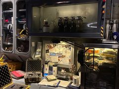 -奥兰多迪士尼动物王国乐园