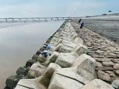 -南汇新城海滩