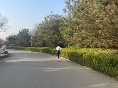 -燕郊植物园