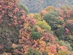 -秦岭终南山世界地质公园翠华山景区