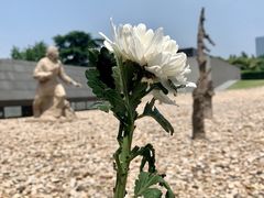-侵华日军南京大屠杀遇难同胞纪念馆