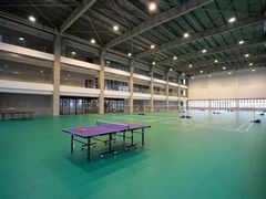 一楼羽毛球场地-临港奉贤体育中心