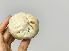 土猪肉包-四平包子铺