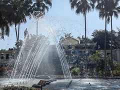 -中国科学院西双版纳热带植物园