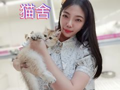 -lincat·猫舍(广州店)