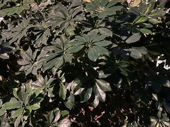 -金稼园·金平湖农家菜
