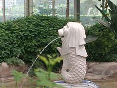 -南宫五洲植物乐园