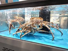 -麦德龙(郑东店)