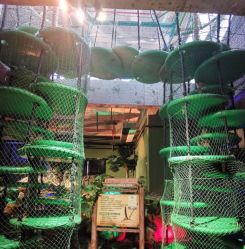 -恐龙探索乐园(磁器口店)